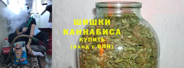 индика Михайловка