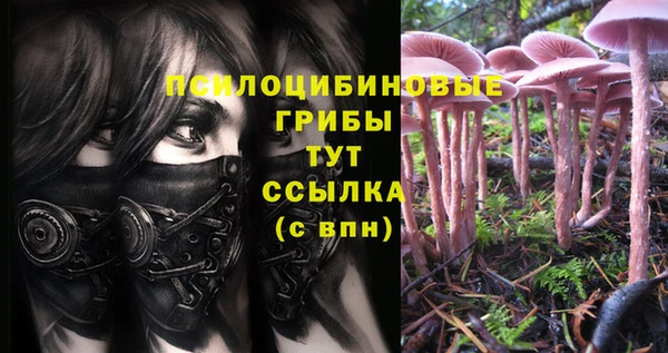 индика Михайловка