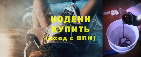 индика Михайловка