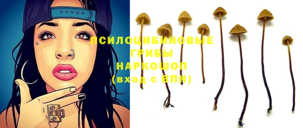 кокс Михайлов