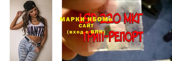соль ск Михайловск