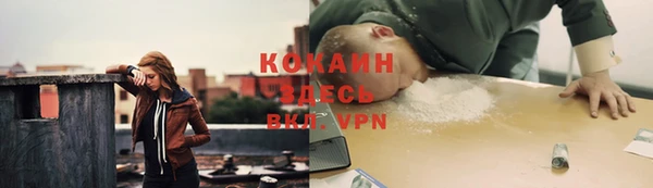 индика Михайловка