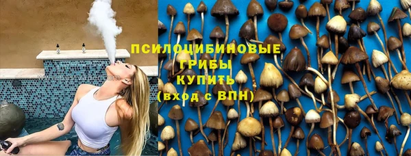 индика Михайловка