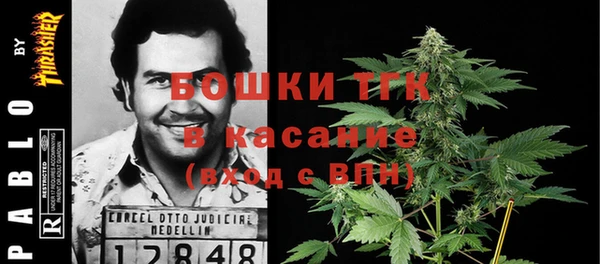 индика Михайловка