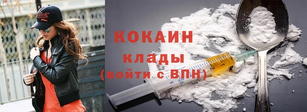 индика Михайловка