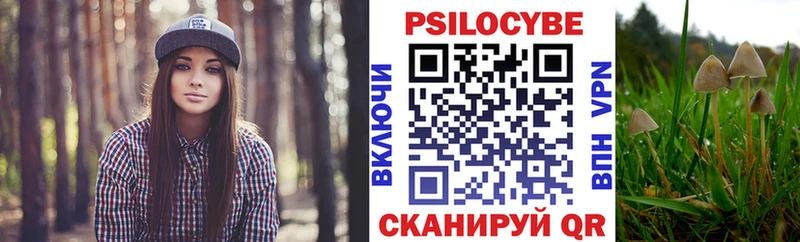 Галлюциногенные грибы Magic Shrooms  сколько стоит  Йошкар-Ола 